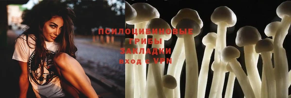 спиды Абаза