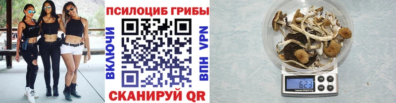 даркнет сайт  Юхнов  Псилоцибиновые грибы мухоморы 
